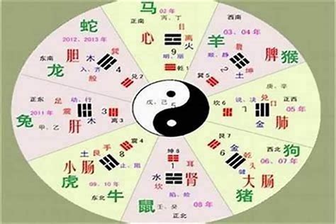 俊的五行|俊的五行属性是什么